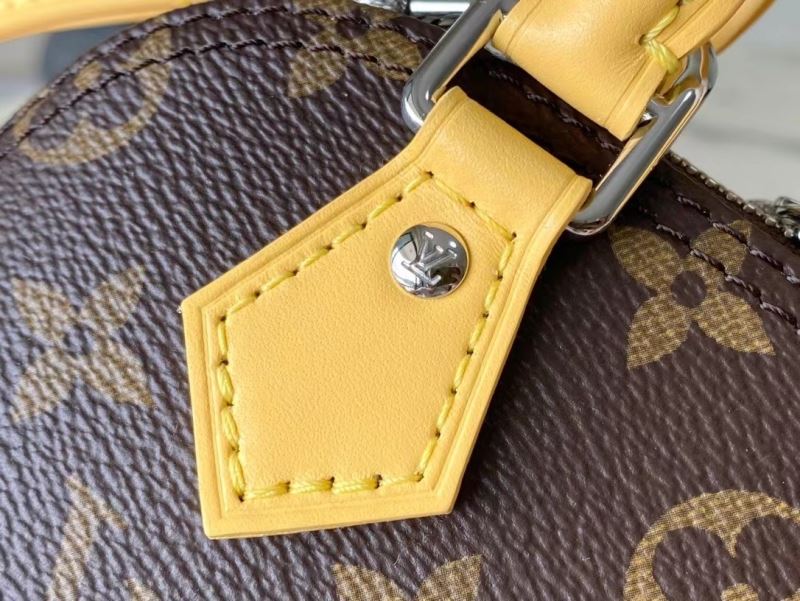Louis Vuitton Top Handle Bags